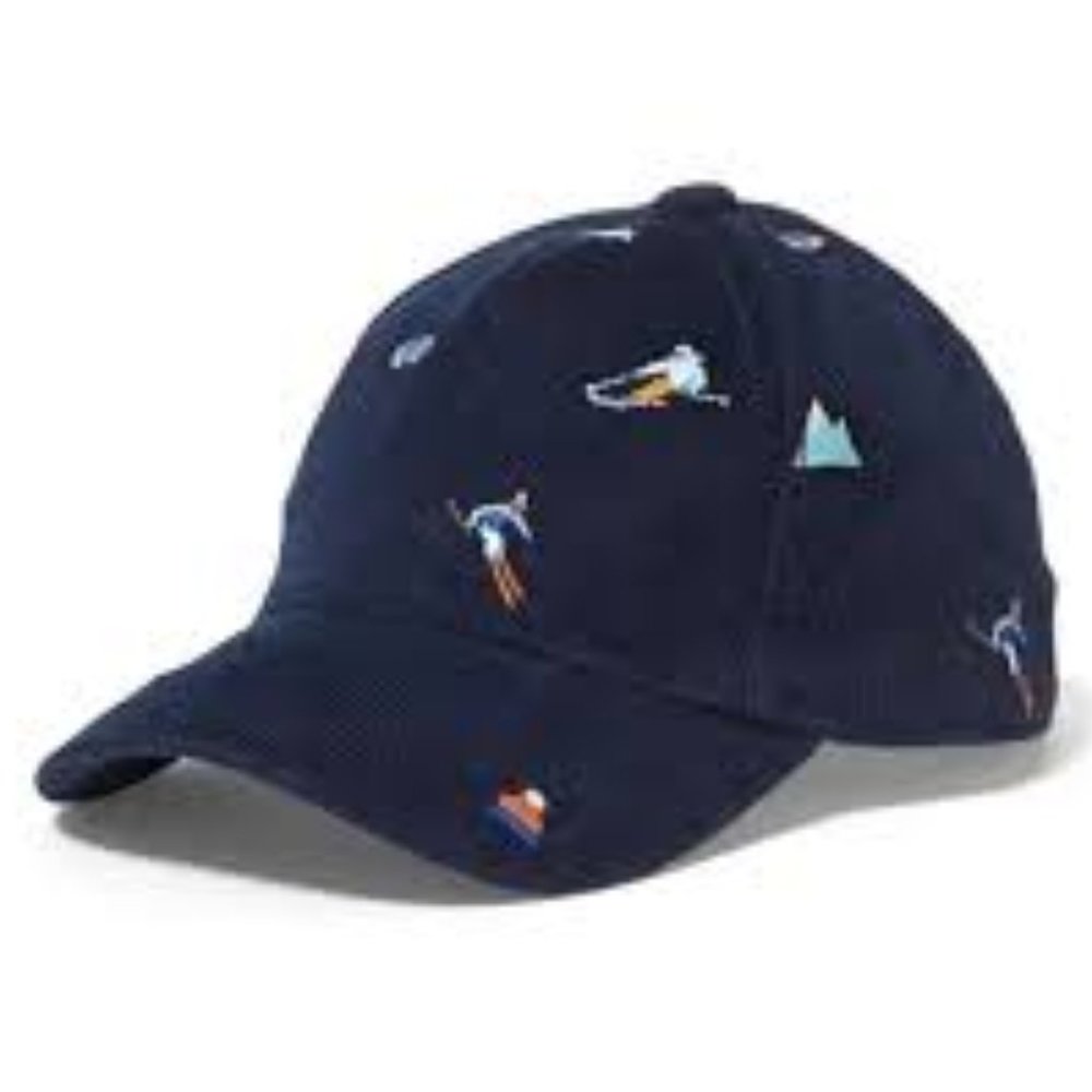 NWT Janie and Jack Ski Icon Hat 2-3t